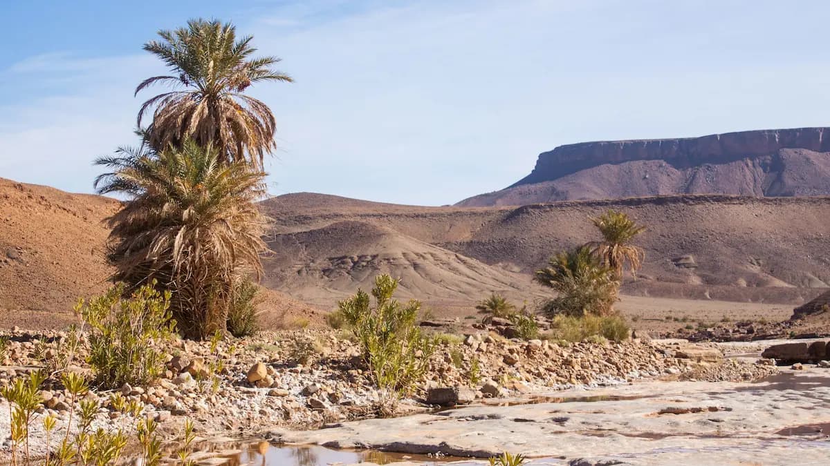 Zamane Festival: Music, Heritage, and the Desert Spirit of M’Hamid El Ghizlane